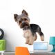 Yorkshire Terrier Front over Wall Decal