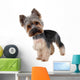 Yorkshire Terrier Front over Wall Decal