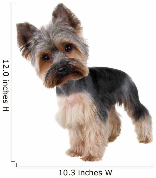 Yorkshire Terrier Front over Wall Decal