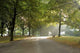 Alsterwanderweg Wall Decal