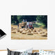 To Pick Feed Wall Decal