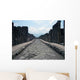 Ancient Roman Street Pompeii Wall Decal