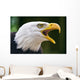 Bald Eagle Haliaeetus Leucocephalus Wall Decal