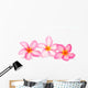 Frangipani Flowers Wall Decal
