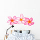 Frangipani Flowers Wall Decal