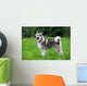 Young Alaskan Malamute Walk Wall Decal