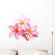 Pink Frangipani Flowers Wall Decal