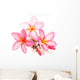 Pink Frangipani Flowers Wall Decal