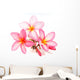 Pink Frangipani Flowers Wall Decal