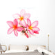 Pink Frangipani Flowers Wall Decal