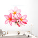 Pink Frangipani Flowers Wall Decal