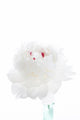 White Peony Wall Decal