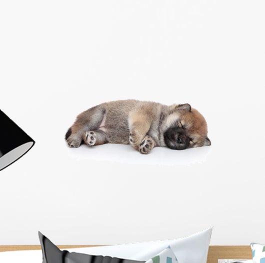Shiba Inu Puppy Sleep Wall Decal