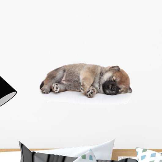 Shiba Inu Puppy Sleep Wall Decal