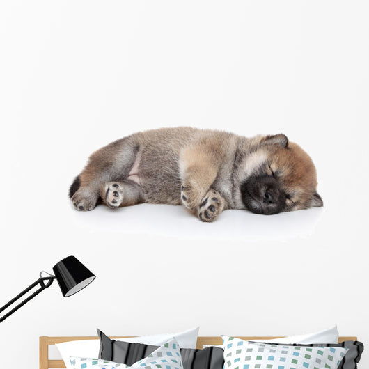 Shiba Inu Puppy Sleep Wall Decal