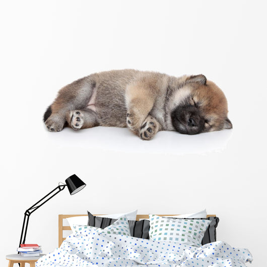 Shiba Inu Puppy Sleep Wall Decal