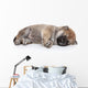 Shiba Inu Puppy Sleep Wall Decal