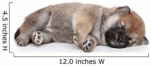 Shiba Inu Puppy Sleep Wall Decal