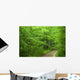 Forest Ground Road Wall Decal