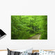 Forest Ground Road Wall Decal