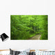 Forest Ground Road Wall Decal
