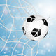 Soccer Ball Net Wall Decal