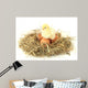 Beautiful Little Chicken Wall Decal