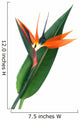 Bird Paradise Flower Wall Decal