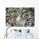 Snow Leopard on a Hill Wall Decal