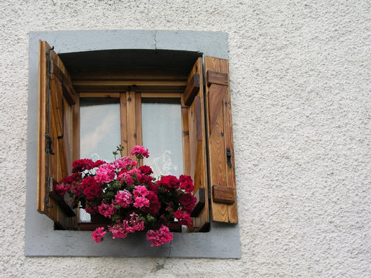 Pyrenean Window Wall Decal