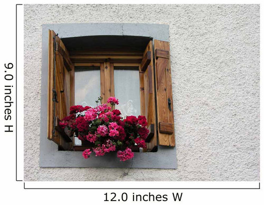 Pyrenean Window Wall Decal