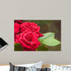 Red Roses Garden Wall Decal