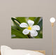 Tropical Flowers Frangipani Plumeria Wall Decal