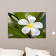 Tropical Flowers Frangipani Plumeria Wall Decal