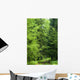 Forest Road Laeding into Wall Decal