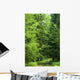 Forest Road Laeding into Wall Decal