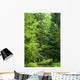 Forest Road Laeding into Wall Decal