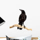 Bird Rook Wall Decal
