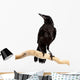 Bird Rook Wall Decal