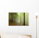 Path Border between Coniferous Wall Decal