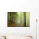 Path Border between Coniferous Wall Decal