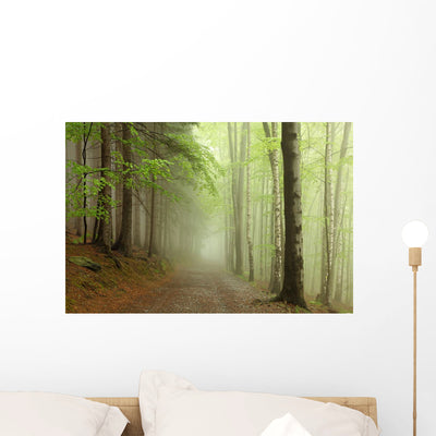 Path Border between Coniferous Wall Decal shown on a wall