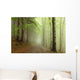 Path Border between Coniferous Wall Decal