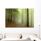 Path Border between Coniferous Wall Decal