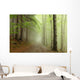 Path Border between Coniferous Wall Decal