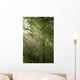 Sun Rays Shine through Wall Decal