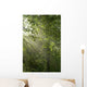 Sun Rays Shine through Wall Decal