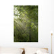 Sun Rays Shine through Wall Decal
