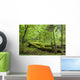 Broken Trees Summer Forest Wall Decal