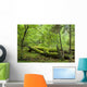 Broken Trees Summer Forest Wall Decal